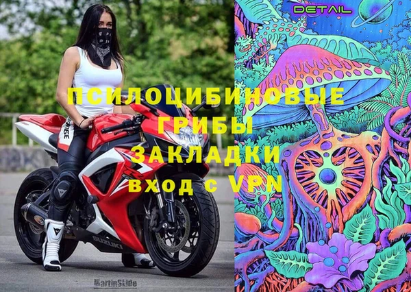 2c-b Абинск