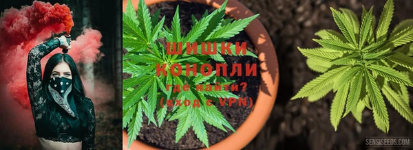 каннабис Алексин