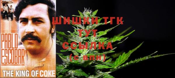 твердый Абаза