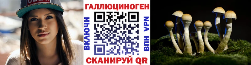где купить наркоту  Астрахань  Галлюциногенные грибы Cubensis 